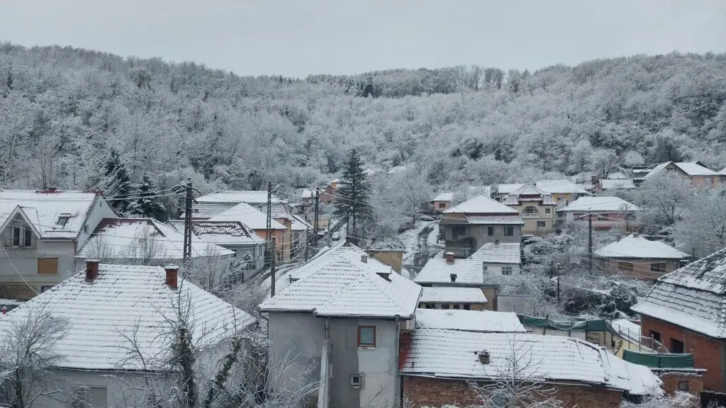 20241123_090611-min-1